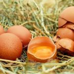 Cholesterin und Ernährung: Aufgaben und Einfluss auf Testosteron