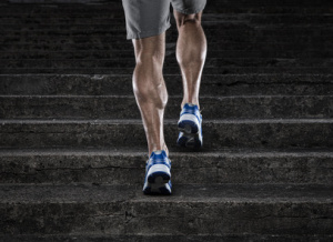 effektives ausdauertraining zur optimalen fettverbrennung